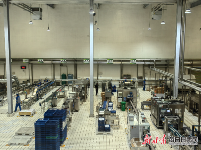 科技引領(lǐng)&ldquo;甘味&rdquo;莊園乳品熱銷市場(chǎng)--甘肅農(nóng)墾莊園牧場(chǎng)挖掘地域特色研發(fā)新產(chǎn)品